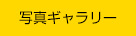 写真ギャラリー
